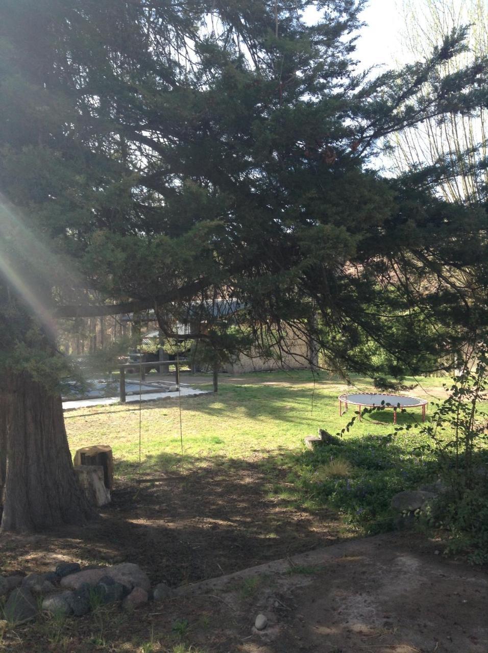 Mil Piedras Cabins Potrerillos Εξωτερικό φωτογραφία